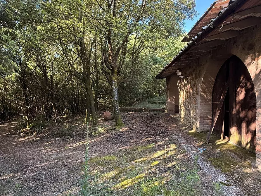Immagine 3 di Villa in vendita  a Murlo