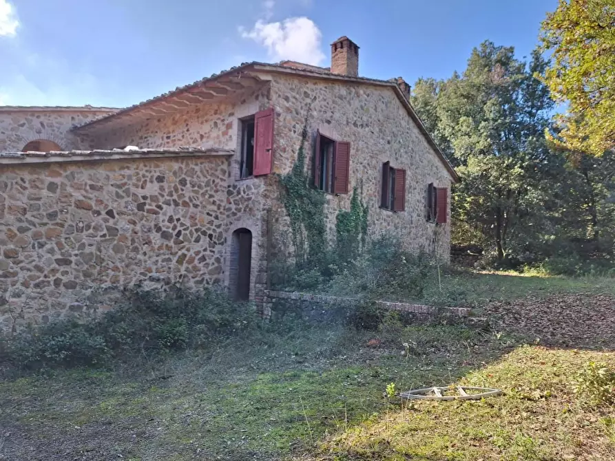 Immagine 6 di Villa in vendita  a Murlo
