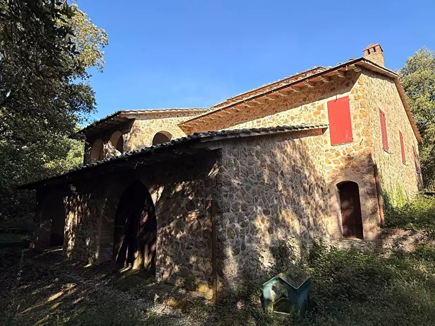 Immagine 4 di Villa in vendita  a Murlo