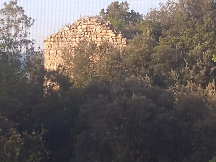 Immagine 42 di Villa in vendita  a Castellina In Chianti