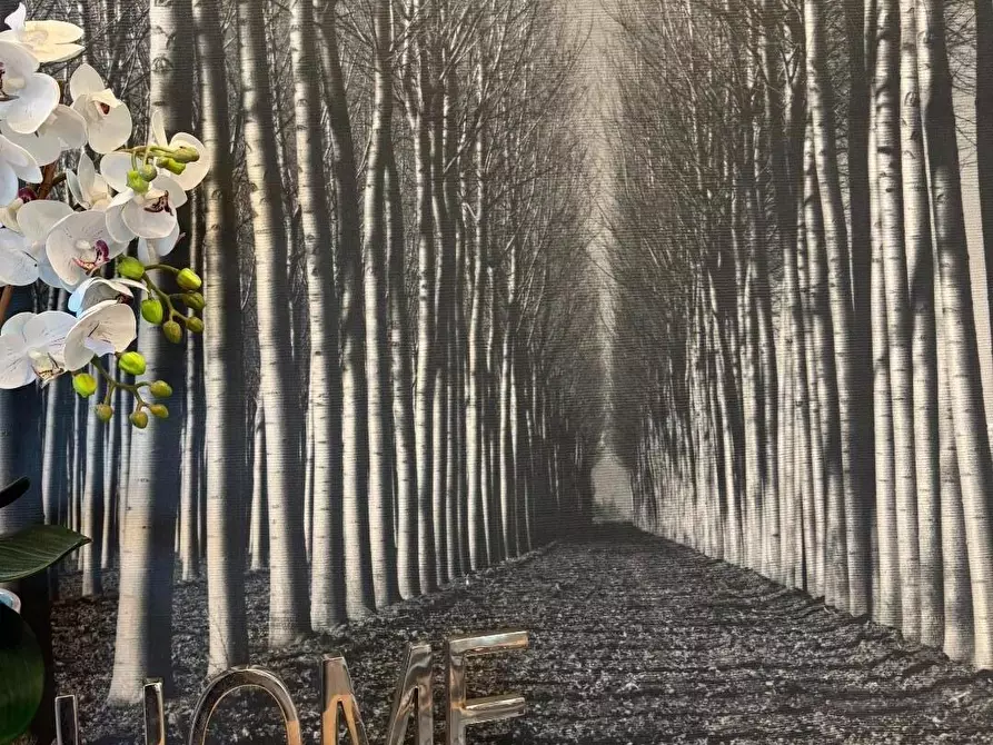 Immagine 20 di Appartamento in vendita  a Viareggio