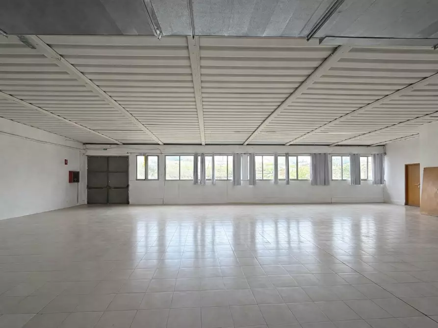 Immagine 19 di Capannone industriale in vendita  a Vinci