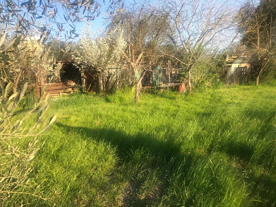 Immagine 2 di Terreno agricolo in vendita  a Pontedera