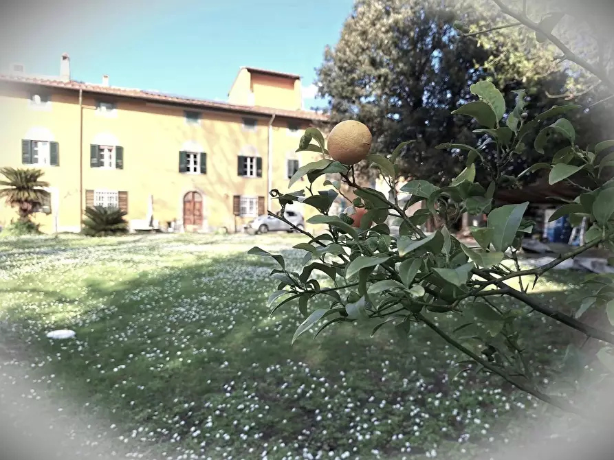 Immagine 1 di Terratetto in vendita  a Cascina