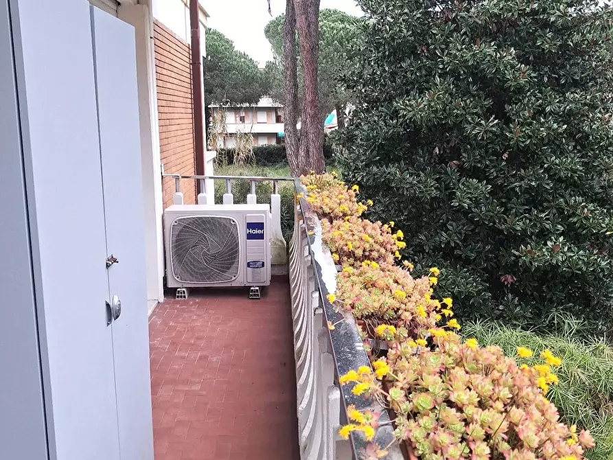 Immagine 3 di Appartamento in vendita  a Massa