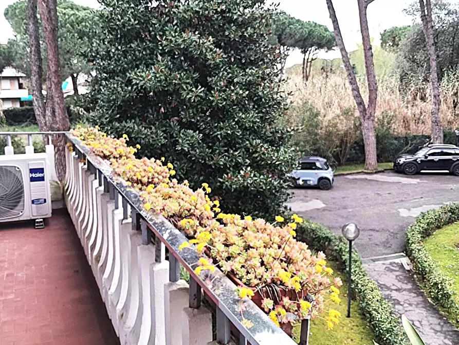 Immagine 4 di Appartamento in vendita  a Massa