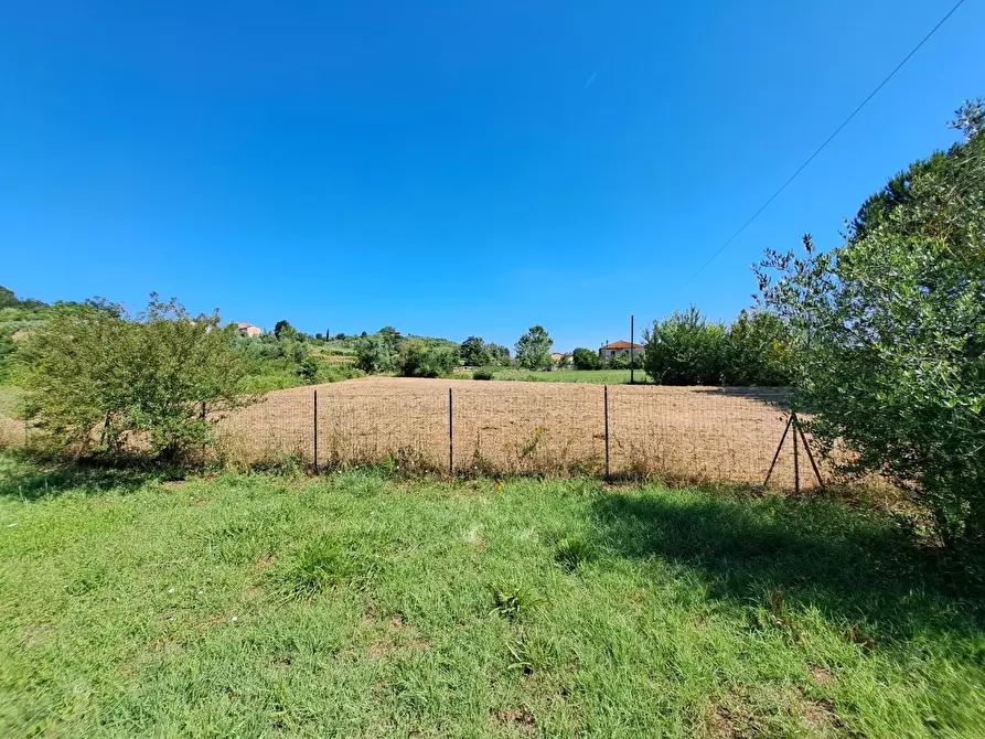 Immagine 72 di Casa indipendente in vendita  a Casciana Terme Lari