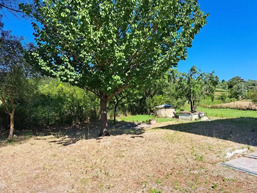 Immagine 65 di Casa indipendente in vendita  a Casciana Terme Lari