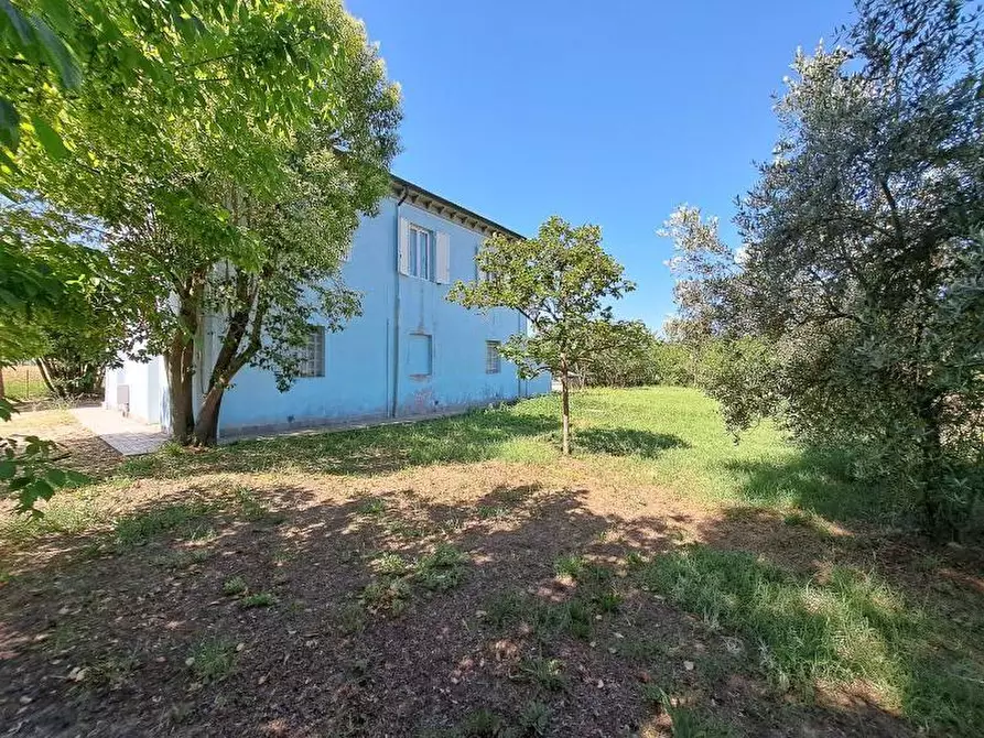 Immagine 11 di Casa indipendente in vendita  a Casciana Terme Lari