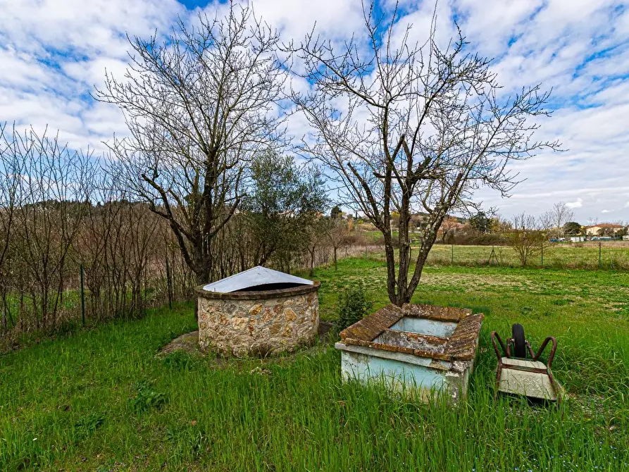 Immagine 15 di Casa indipendente in vendita  a Casciana Terme Lari