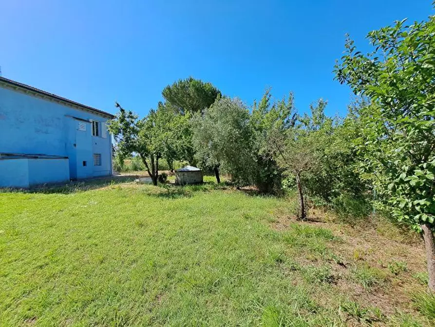 Immagine 9 di Casa indipendente in vendita  a Casciana Terme Lari