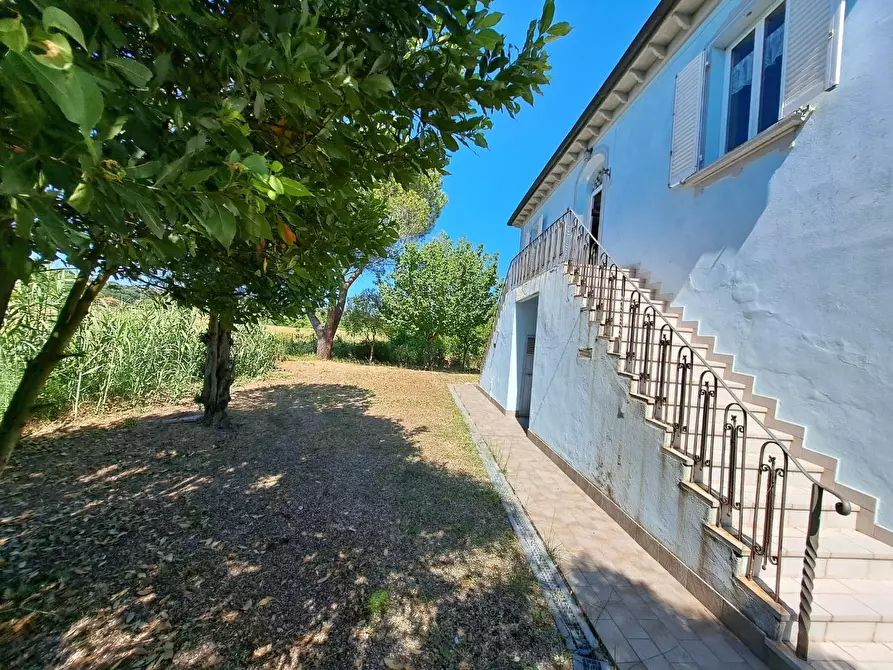Immagine 2 di Casa indipendente in vendita  a Casciana Terme Lari