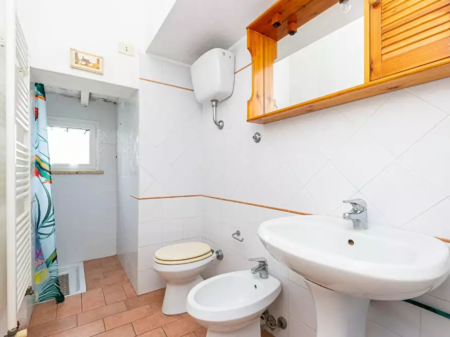 Immagine 50 di Casa indipendente in vendita  a Casciana Terme Lari