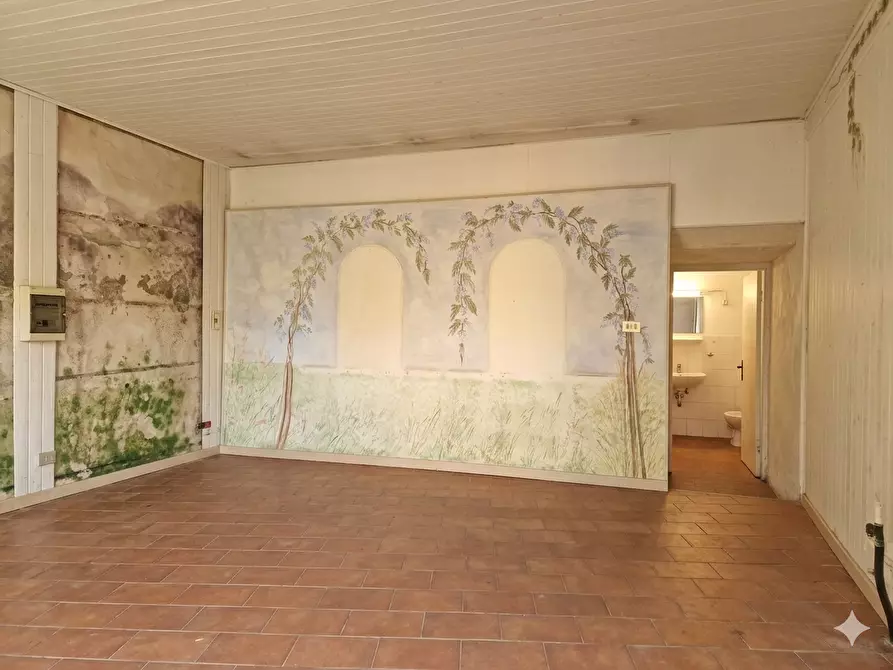 Immagine 15 di Appartamento in vendita  a Crespina Lorenzana