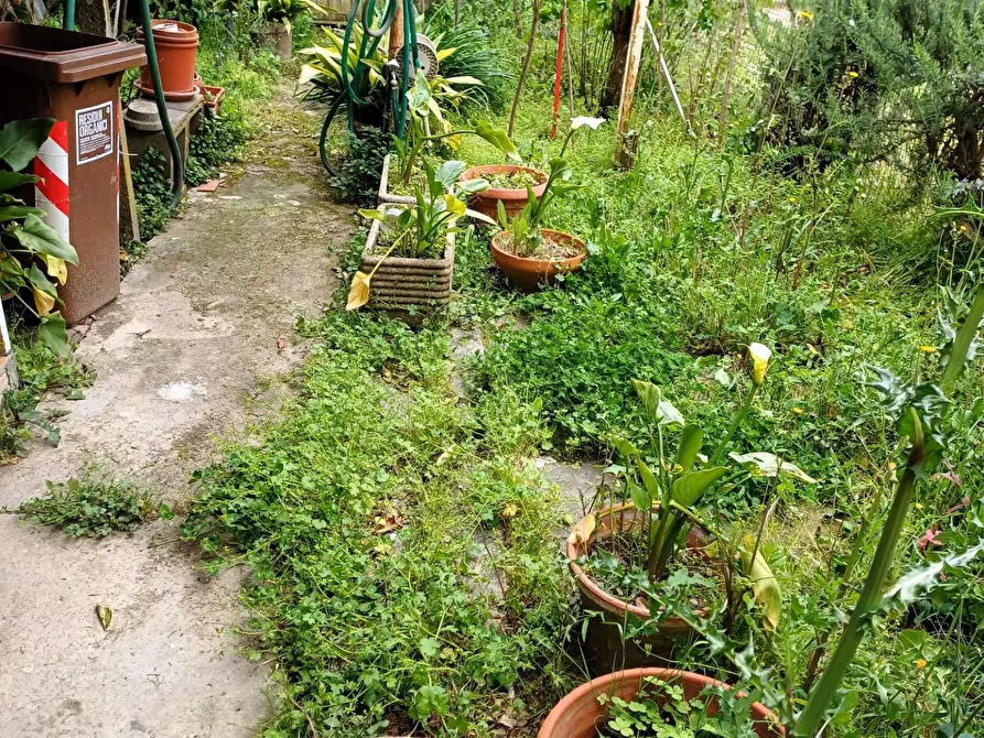 Immagine 11 di Appartamento in vendita  a Vinci