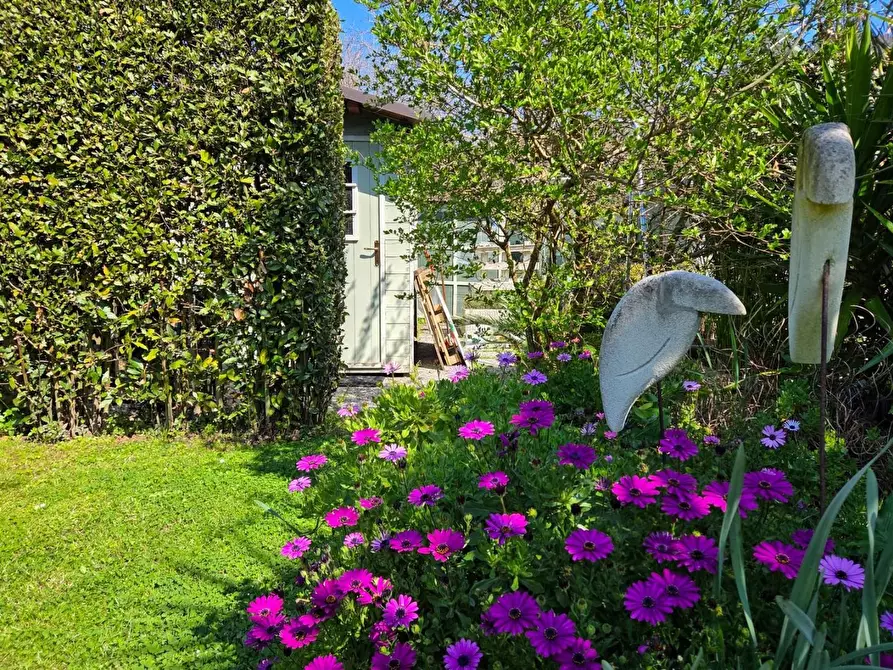 Immagine 3 di Casa bifamiliare in vendita  a San Giuliano Terme