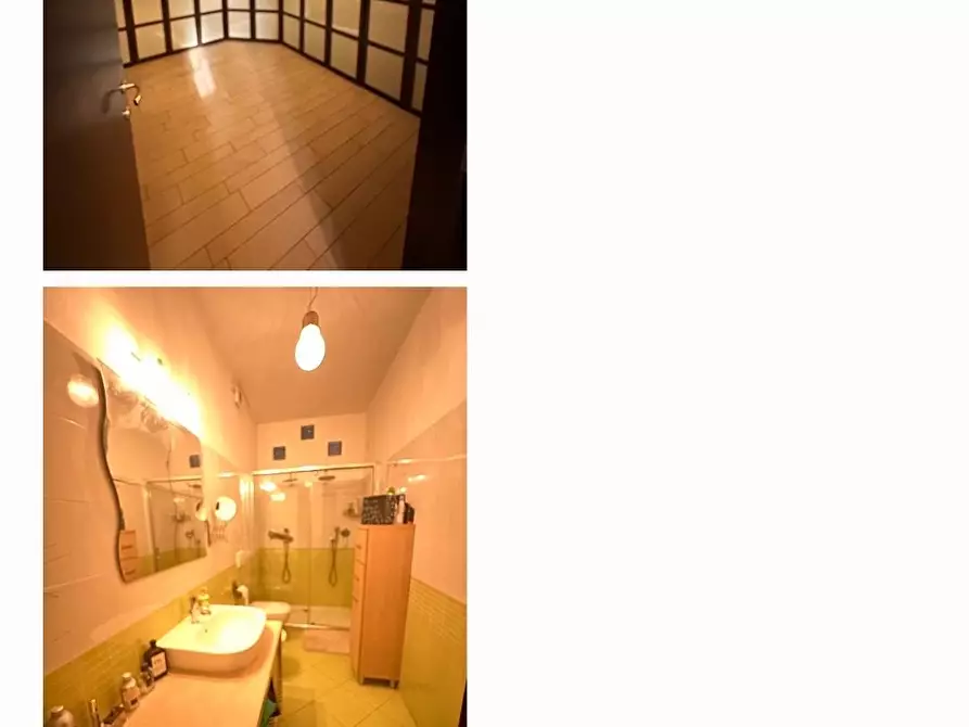 Immagine 17 di Appartamento in vendita  a Viareggio