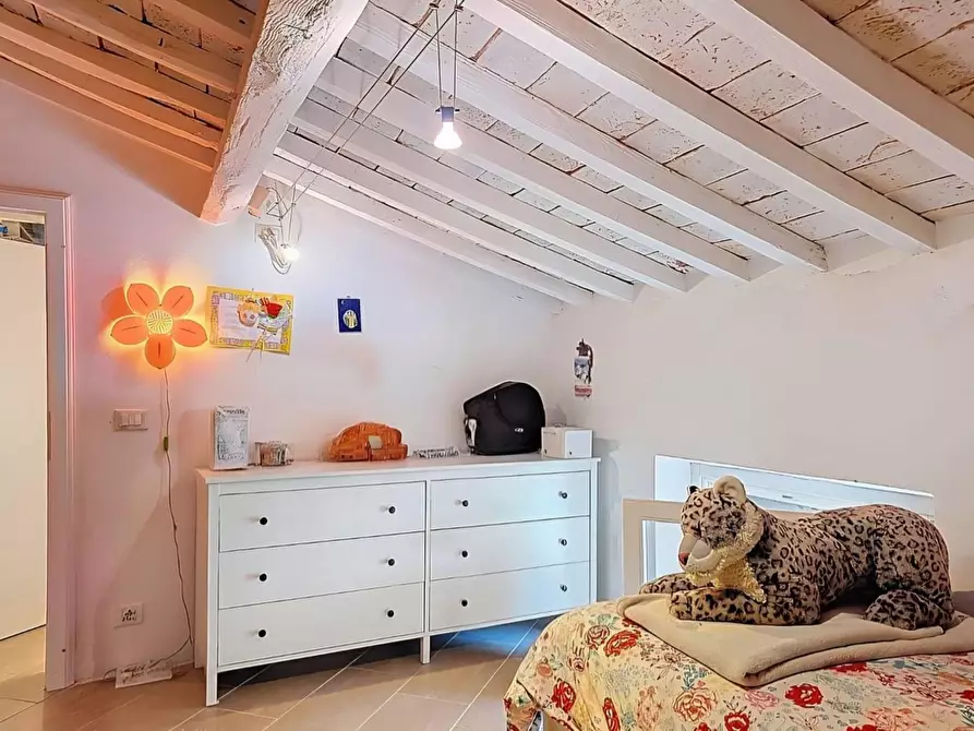 Immagine 18 di Appartamento in vendita  a San Giuliano Terme