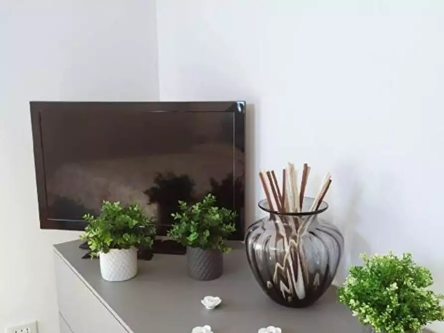 Immagine 5 di Appartamento in vendita  a Pisa