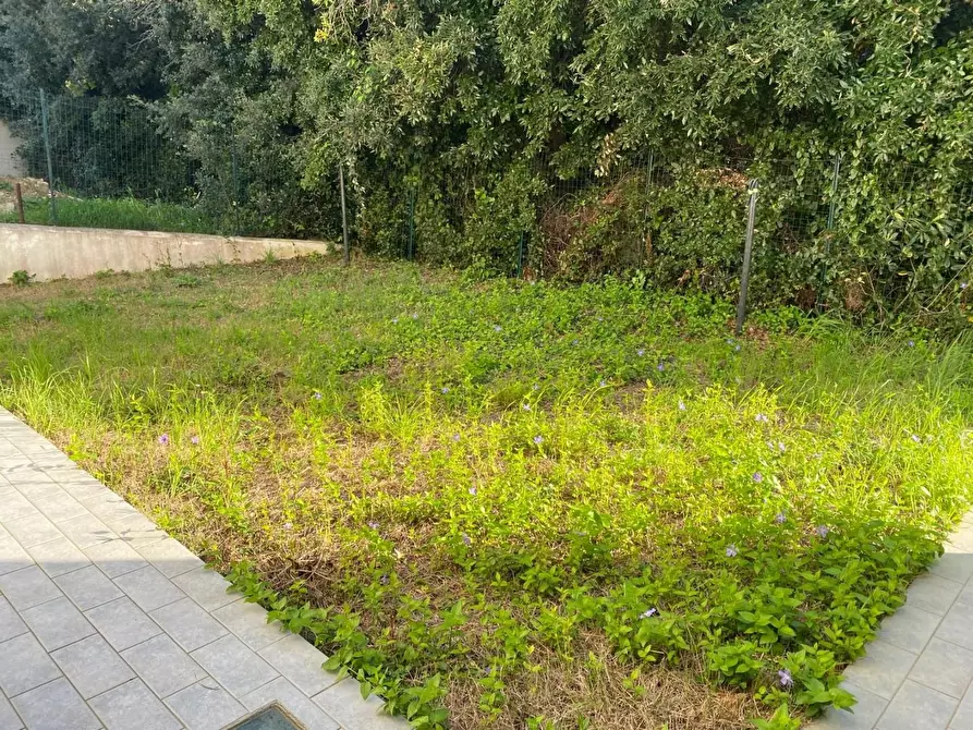 Immagine 9 di Casa bifamiliare in vendita  a Livorno