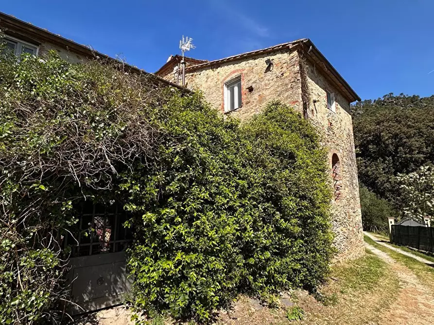 Immagine 1 di Appartamento in vendita  a Buti