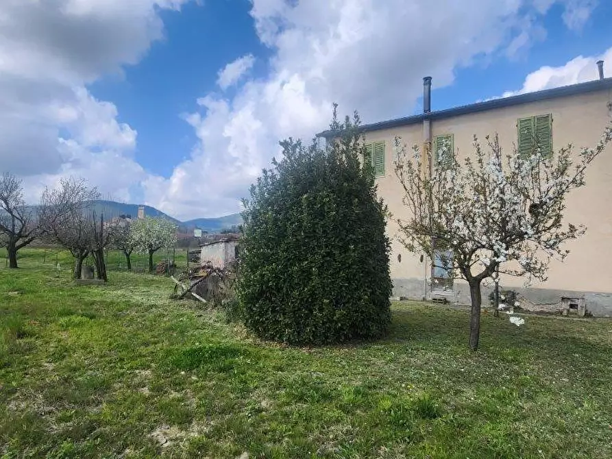 Immagine 1 di Rustico / casale in vendita  a Vicopisano