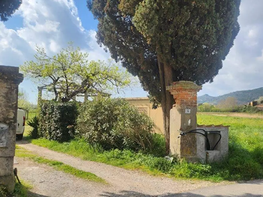 Immagine 11 di Rustico / casale in vendita  a Vicopisano