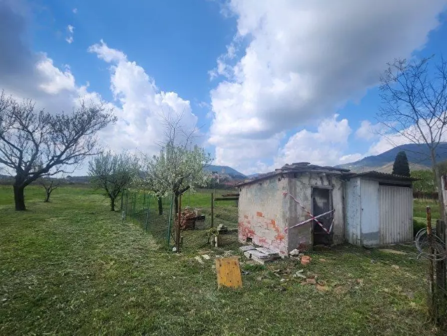 Immagine 20 di Rustico / casale in vendita  a Vicopisano