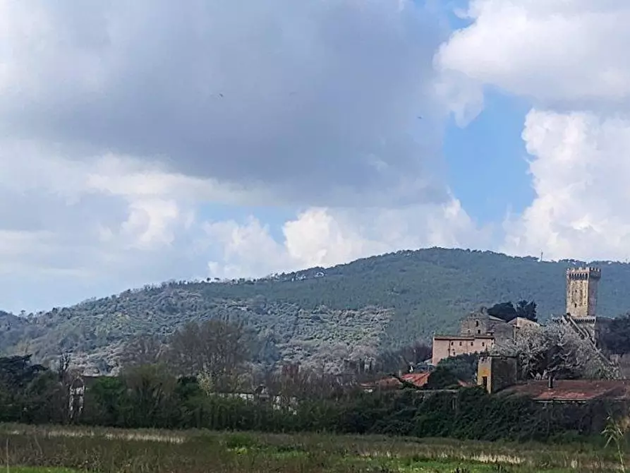 Immagine 21 di Rustico / casale in vendita  a Vicopisano