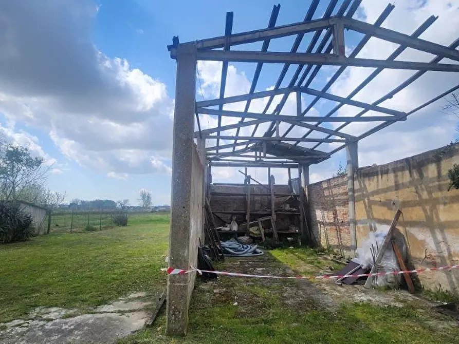 Immagine 2 di Rustico / casale in vendita  a Vicopisano