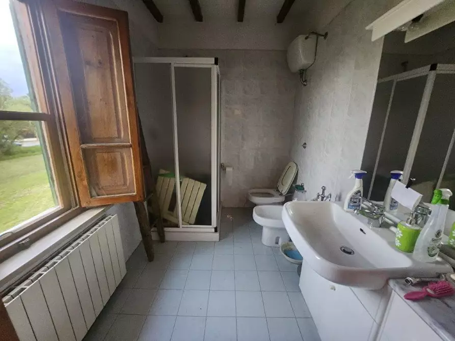 Immagine 7 di Rustico / casale in vendita  a Vicopisano