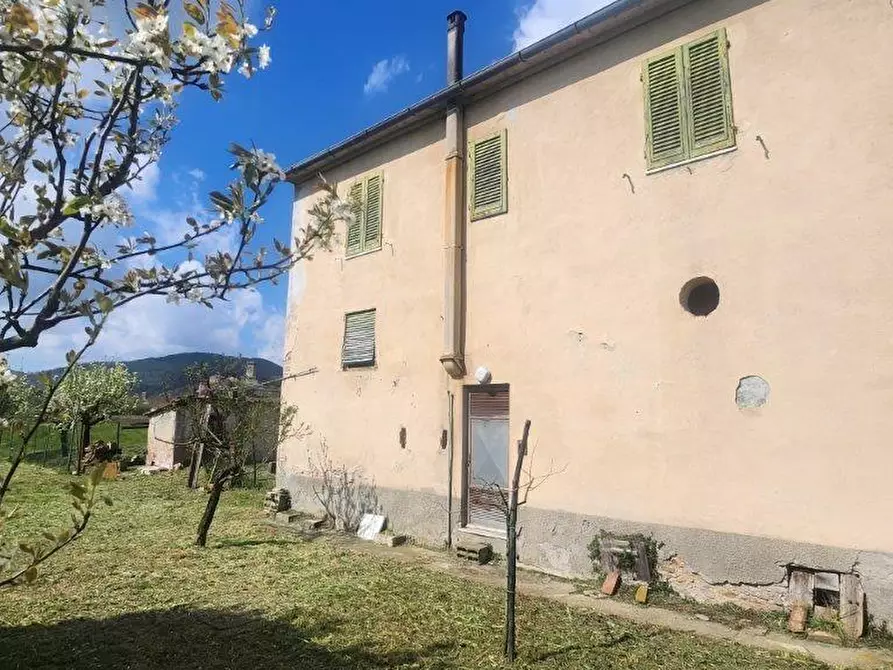 Immagine 19 di Rustico / casale in vendita  a Vicopisano