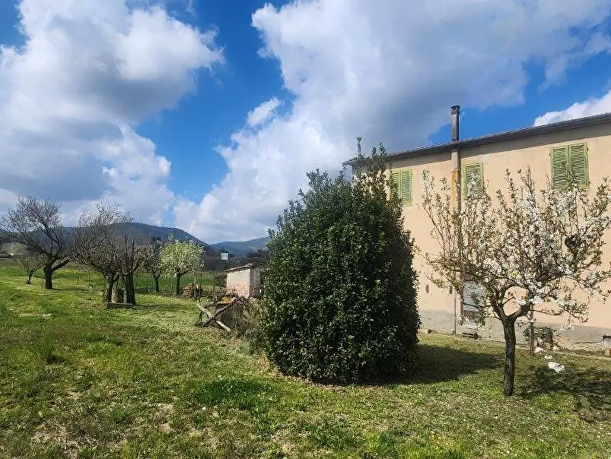 Immagine 18 di Rustico / casale in vendita  a Vicopisano