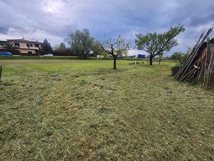 Immagine 10 di Rustico / casale in vendita  a Vicopisano