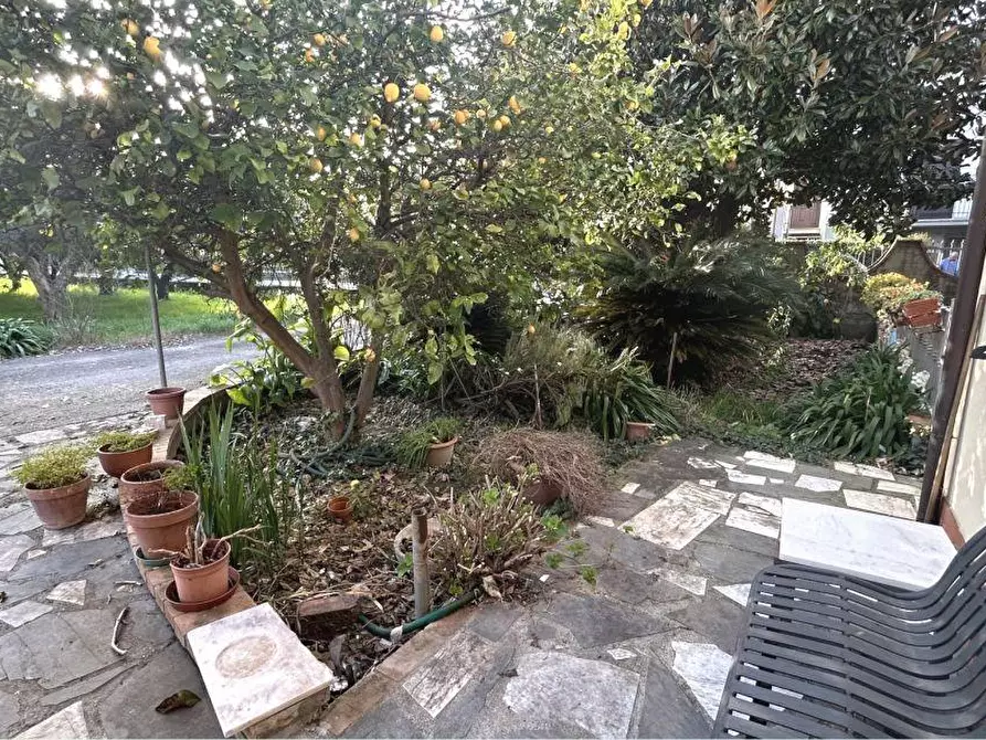 Immagine 4 di Appartamento in vendita  a Sarzana