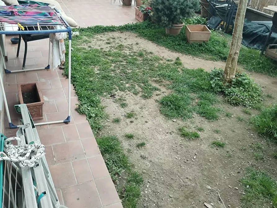 Immagine 20 di Appartamento in vendita  a Massa