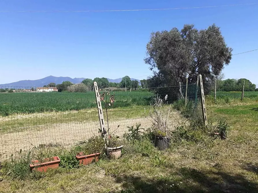 Immagine 11 di Rustico / casale in vendita  a Pisa