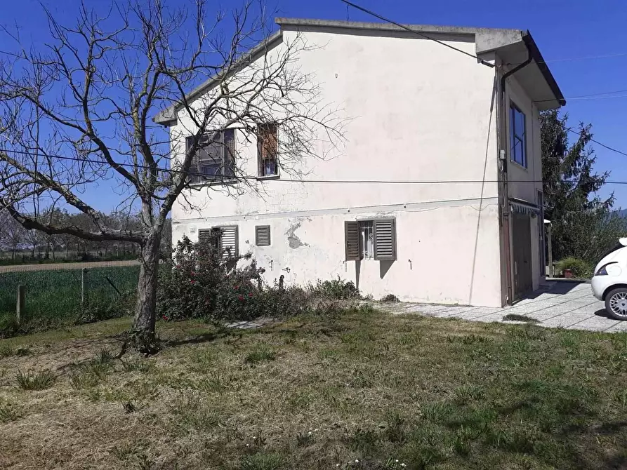 Immagine 5 di Rustico / casale in vendita  a Pisa