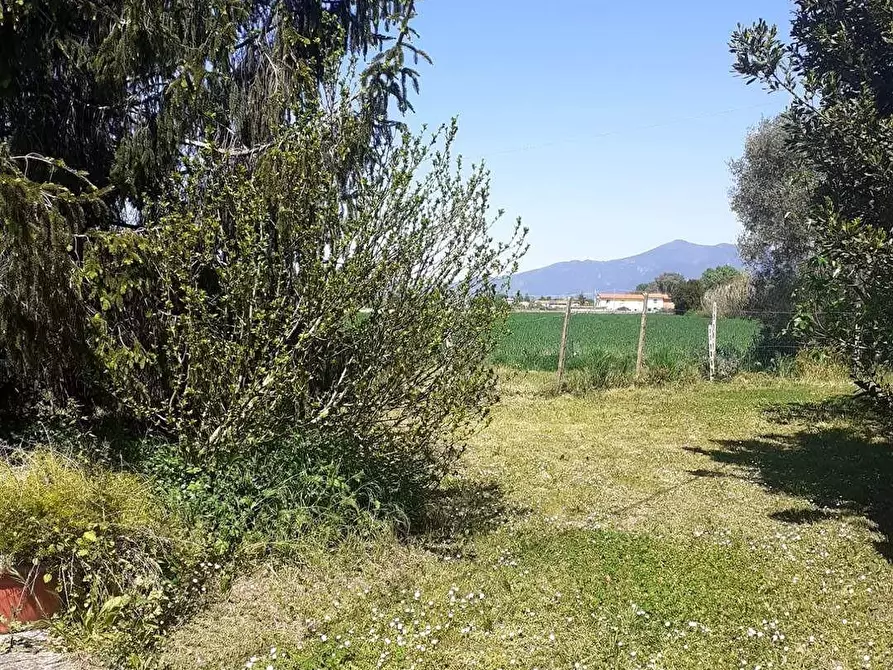 Immagine 12 di Rustico / casale in vendita  a Pisa
