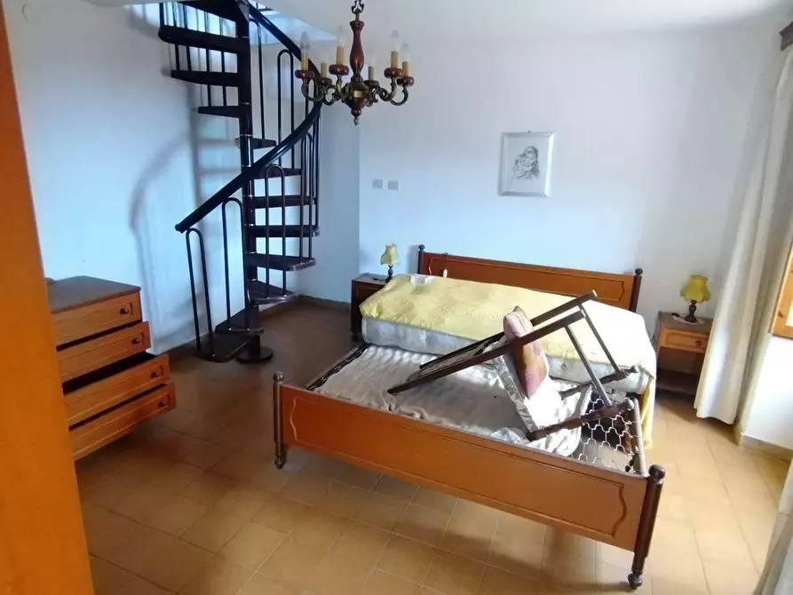 Immagine 18 di Terratetto in vendita  a Massa