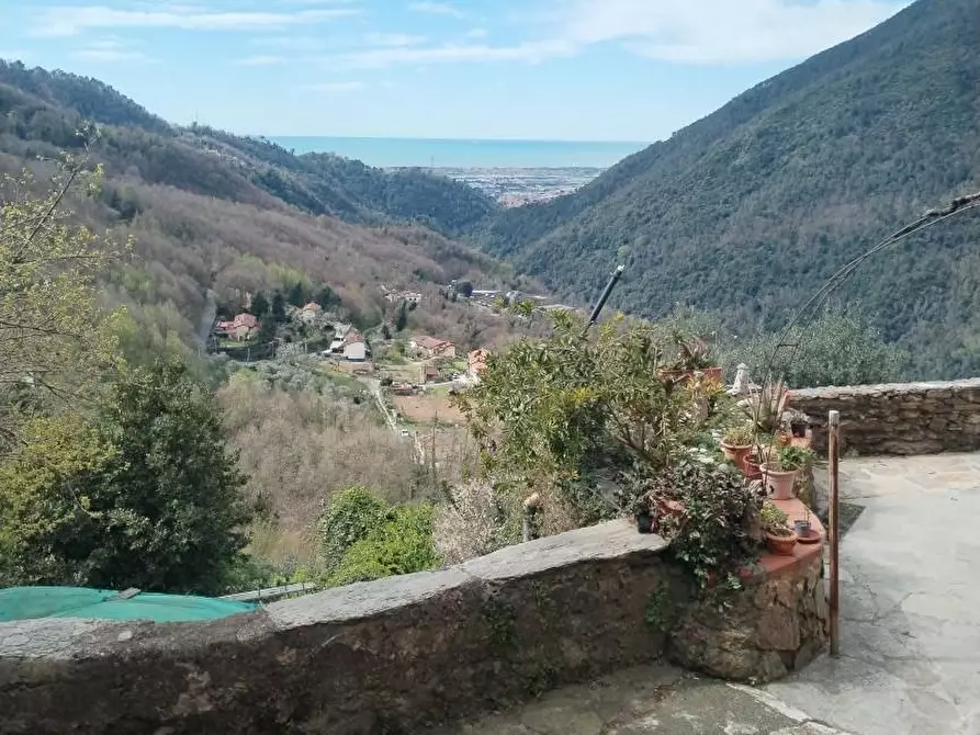 Immagine 6 di Terratetto in vendita  a Massa