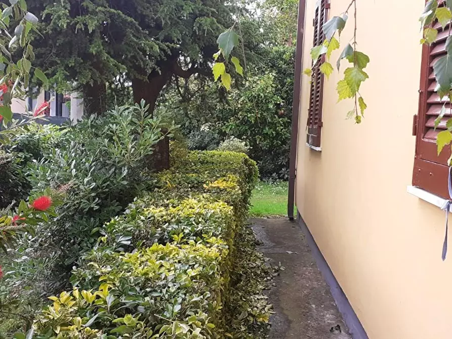 Immagine 17 di Casa indipendente in vendita  a Massa