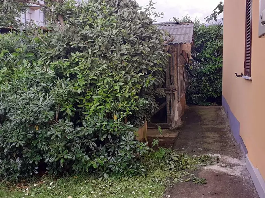 Immagine 15 di Casa indipendente in vendita  a Massa
