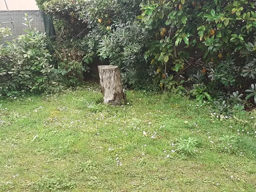 Immagine 16 di Casa indipendente in vendita  a Massa