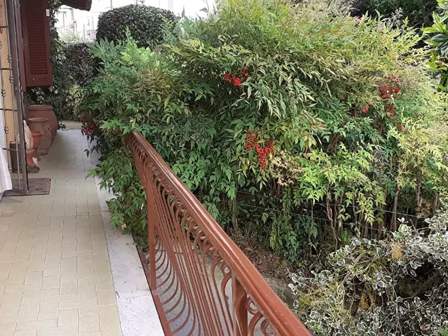 Immagine 18 di Casa indipendente in vendita  a Massa