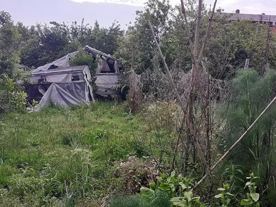 Immagine 20 di Casa indipendente in vendita  a Massa