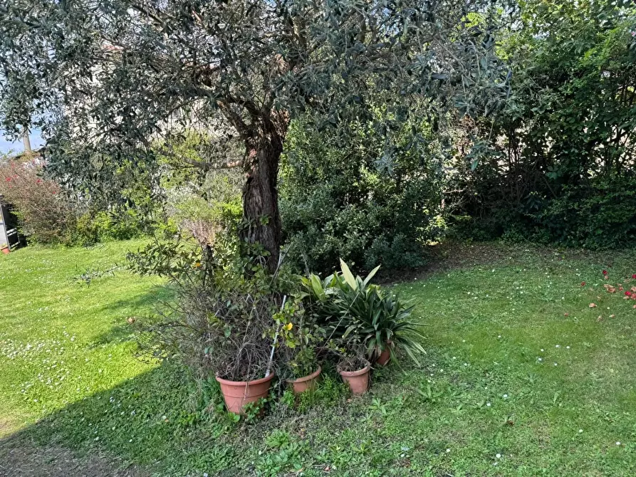 Immagine 1 di Casa indipendente in vendita  a Montignoso