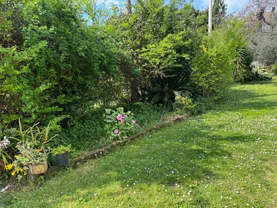 Immagine 2 di Casa indipendente in vendita  a Montignoso