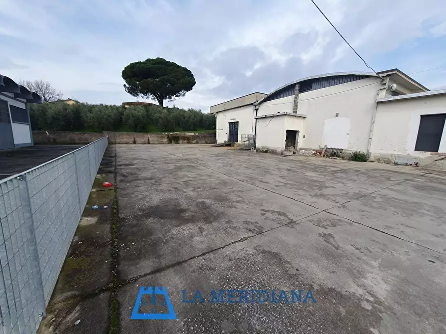 Immagine 18 di Attività artigianale in vendita  a Lamporecchio