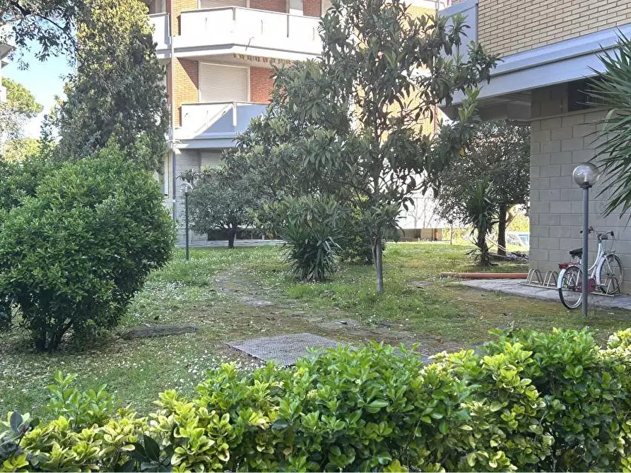 Immagine 3 di Appartamento in vendita  a Massa